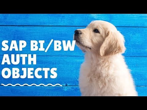 SAP BI Security Training What is BW/BI object a SAP Security Admin needs to know