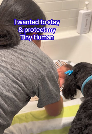 #goldendoodle #dogsoftiktok #baby #bath #protection | Goldendoodle Dog