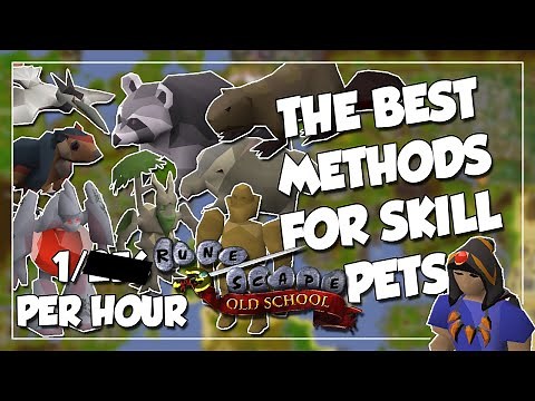 Best Methods for Skilling Pets in OSRS - Easiest Pets To Get (AFK + Active)