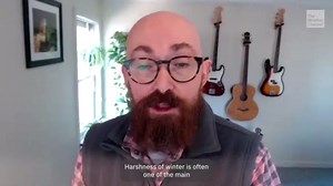 Essential Tips For Winter Bird Feeding