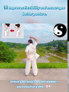 Easy DAILY Tai Chi Exercises For Beginners | Taichi Workout