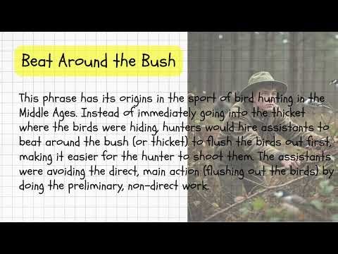 BEAT AROUND THE BUSH - Idiom Explained Lesson 19 - ONE IDIOM DAILY