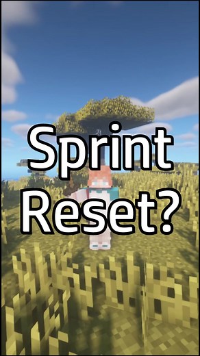 How to Sprint Reset? #minecraft #minecraftbuilding #minecraftpvp #minecraftpvptip #minecraftpvptips #twitch #twitchtvstreamer #twitchtok7