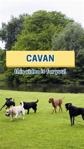 👋 WANTED: Dog owners from CAVAN who want the chance to TEST 3 months of Butternut Box for FREE! Give your furry friend the best with our dog-approved meals! ✅Perfectly-portioned and delivered directly to your door ✅Fresh, healthy, and hypoallergenic ✅Human-quality ingredients ✅No fillers or artificial preservatives ✅Not canned, not dry, not raw ✅Gently cooked with the right balance of vitamins and minerals Interested? This month, get 25% OFF the first 2 boxes a chance to WIN 3 months of Buttern