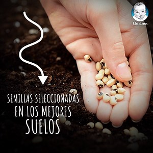 172K views · 132 reactions | Nuestra promesa es hacer todo por tu bebé ❤, por eso seleccionamos las mejores semillas de fruta y los plantamos en los mejores suelos para elaborar nuestros purés de fruta 100% orgánica y sin azúcar añadida ❤. #Gerber #TodoParaTuBebé #Gerberorganicos | Nestlé FamilyNes Ecuador | Facebook