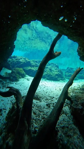 Should we go back with a flashlight?? 🔦 • • 🎥 @clara.the.sleepy.siren | @gopro | Danielle Cecil