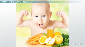 Carotenoids | Definition, Structure & Function