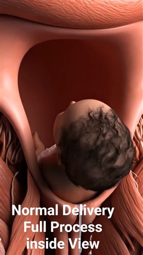 Normal Delivery Full Process inside View #normaldelivery #process #delivery #human #healthylifestyle
