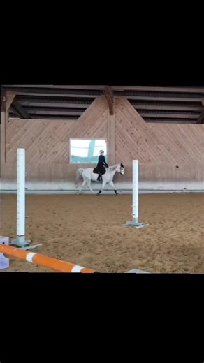 It‘s hart to say. // #fyp #nols_and_elfs #gönnfy