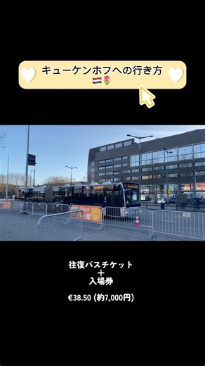 チューリップが有名なオランダ