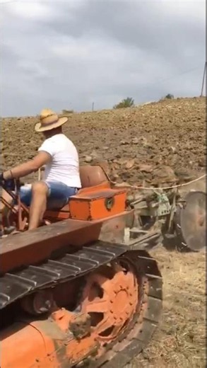 OM 50 C Team in Spectacular Aratura | Vintage Power at Its Best