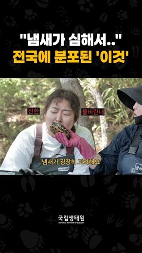 What is the identity that made Hambugi from Gunsan City frown?! #NationalInstituteofEcology #Inva...