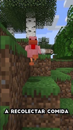 Did you know you can tame a ferret in Minecraft?