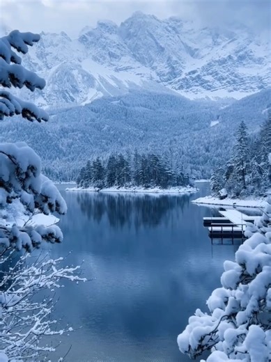 Viral Beautiful Vedeo #video #100M #shorts #viral #tiktok