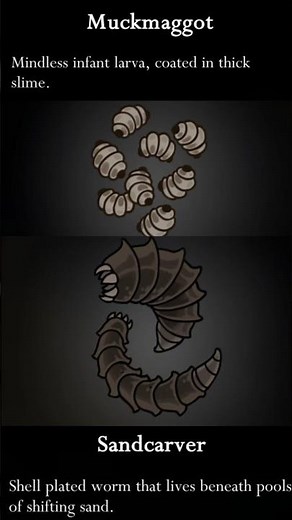 How to get the Sandcarver and Muckmaggot entries #silksong #hollowknight #guide #gaming #vtuber