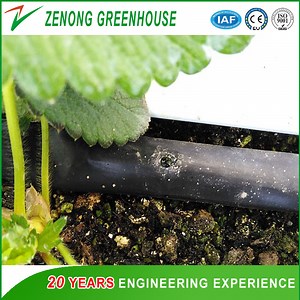 [Hot Item] Strawberry Culture Frame New Style a Frame Hydroponics with Easy Installation