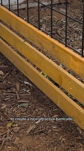 2.4K views · 15 reactions | Give your flock some freedom! Learn how to build a simple, safe, and budget-friendly chicken run that keeps hens happy and predators out.  | All About Gardening | Facebook