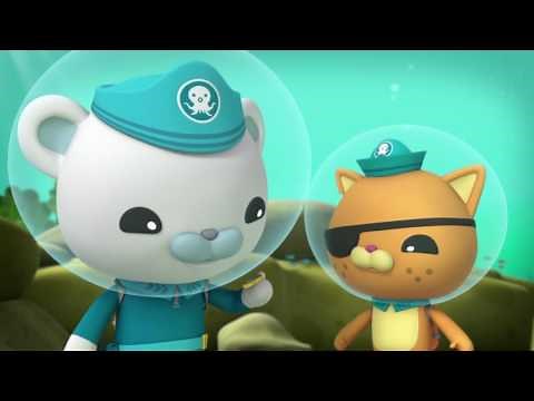 Octonauts and the Scared Sperm Whale - Full Episode