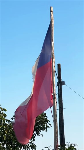 Recuperación en Chile: Ayuda y Esperanza Tras los Incendios