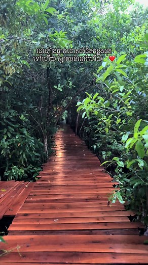 ទីតាំង Mountain View ស្រុកទឹកផុស ខេត្តកំពង់ឆ្នាំង📍 https://maps.app.goo.gl/bmietw8Cpe6baYDh8?g_st=ipc សម្រាប់ការកក់ស្នាក់នៅ :0966614204 Telegram https://t.me/sotheara_chhean