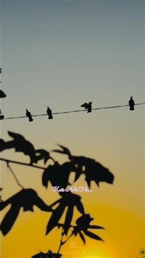 Saagar Jaisi Aankhonwali..😍l Saagar Movie 1985 l Kishore Kumar #ytshorts #love #explore #fyp #viral