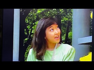 Sesame Street Big Bird In Japan DVD Preview