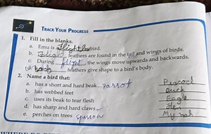 1. Fill in the blanks.Emu is a flightless bird.Flight feather... | Filo