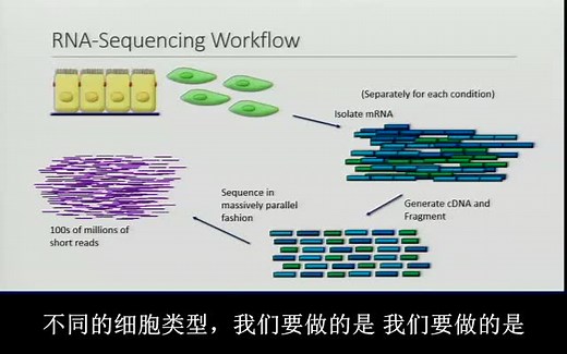 RNA-Seq中差异可变剪切分析