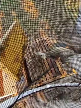 POV Beekeeping 👓 | Savanna Apiary | Continuing MAQ Swaps & Winter Hive Setup 🐝