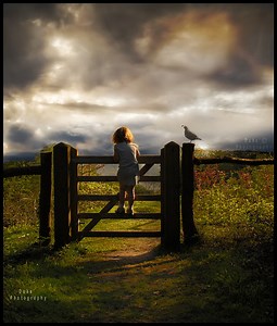 Lilly and friend, Storm Watchers