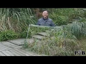 the "New Invisibility Cloak Invented" Video