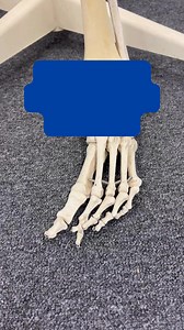 Bunions (hallux valgus) can affect how you move, exercise and go about your daily routine 👣 But there are ways to support your feet and help improve comfort and function 💪 Wearing supportive footwear can reduce pressure on the joint, while strengthening exercises help maintain mobility and stability in the foot and ankle. A personalised approach can make a big difference in how your feet feel every day 🏃‍♀️🧦 Your physio can guide you through strategies to help manage symptoms and support hea