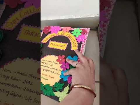 b.ed lesson plan file decoration