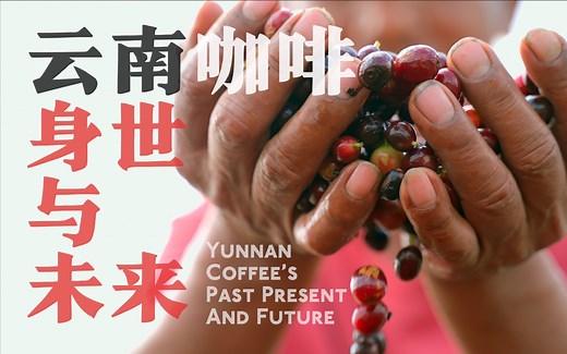 云南咖啡：身世与未来