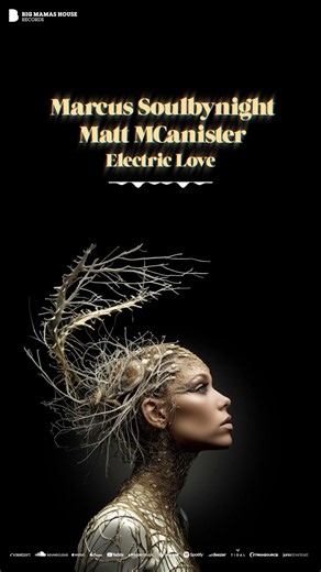 Marcus Soulbynight, Matt MCanister - Electric Love #house #bigmamashouserecords #shorts