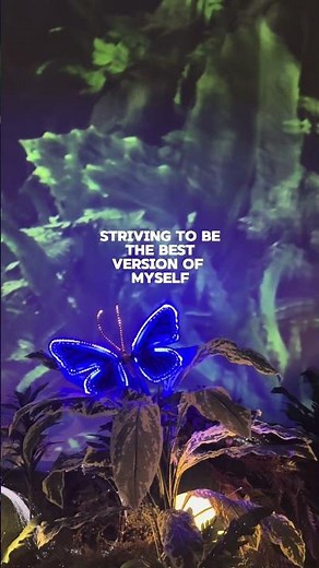 Comparison is the Thief of Joy #RealTalk #MentalHealth