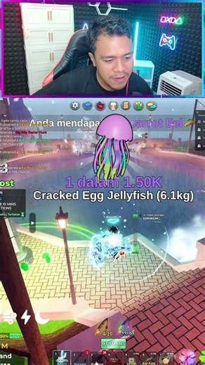 GIVEN A SECRET ORCA STRAWBERRY AND TALON!! #fishit #roblox