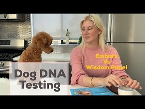 Dog DNA Testing, comparing Embark Vs Wisdom Panel | Blooming Culture