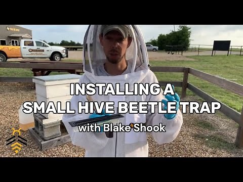 BEEKEEPING: Installing a Small Hive Beetle Trap with Blake Shook