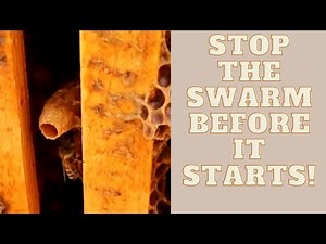 🔵Swarm Season Hive Management.