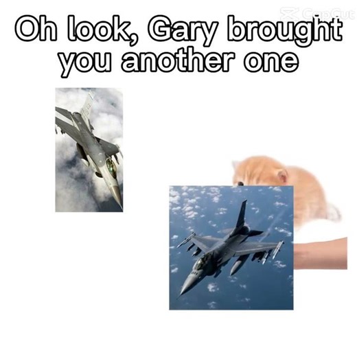 Tell Gary thx #funny #meme #jet