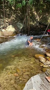 1.1M views · 12K reactions | Belut sungai (Kehidupan kampung)❤️ | Rayner ray | Facebook