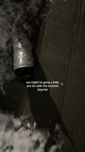 @ama made this iconic winter hat for my dog #fyp #crochet | Crochet