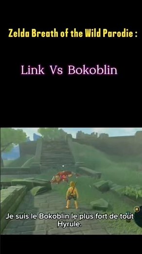 Zelda Breath of the Wild Parodie : Link VS Bokoblin #zelda #botw #humour