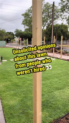 Understanding Lawn Care: TifTuf Turf Insights