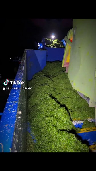 #baleing #goweil #grass