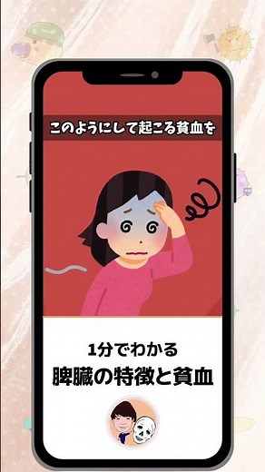 脾臓の特徴と貧血 #解剖生理学 #脾臓 #脾腫