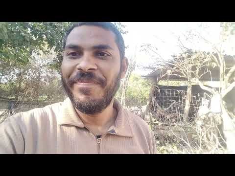 My New Home's Construction: Following the Plot Step-by-Step vlog 2025