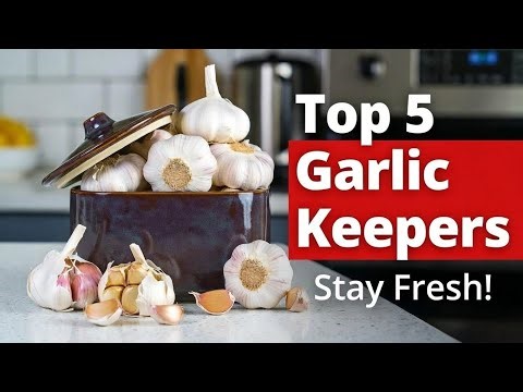 Top 5 best garlic keeper container review (Exclusive) buyer guide update 2026