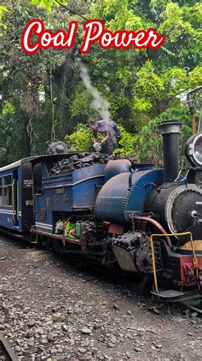 Coal powered narrow gauge steam locomotive of Darjeeling Himalayan rail #automobile #steamengine
